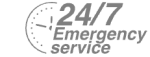 24/7 Emergency Service Pest Control in Wimbledon, SW19. Call Now! 020 8166 9746