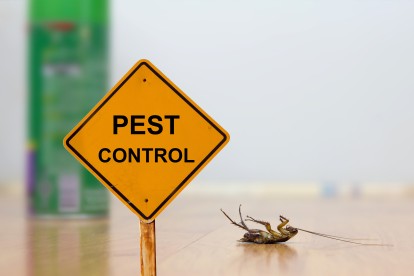 Pest Contol in Wimbledon, SW19. Call Now 020 8166 9746